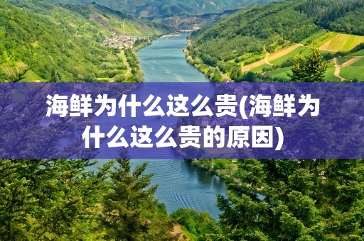 海鲜为什么这么贵(海鲜为什么这么贵的原因)
