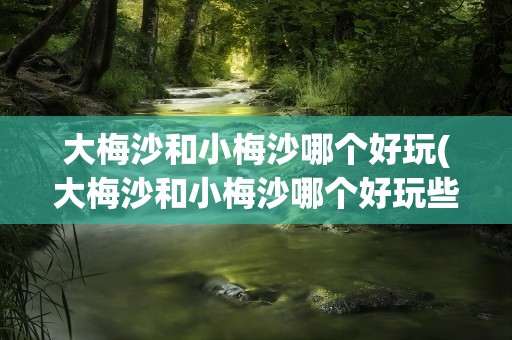 大梅沙和小梅沙哪个好玩(大梅沙和小梅沙哪个好玩些)