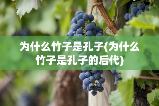 为什么竹子是孔子(为什么竹子是孔子的后代)