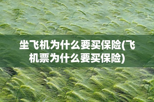 坐飞机为什么要买保险(飞机票为什么要买保险)