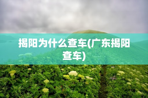 揭阳为什么查车(广东揭阳查车)