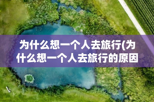 为什么想一个人去旅行(为什么想一个人去旅行的原因)