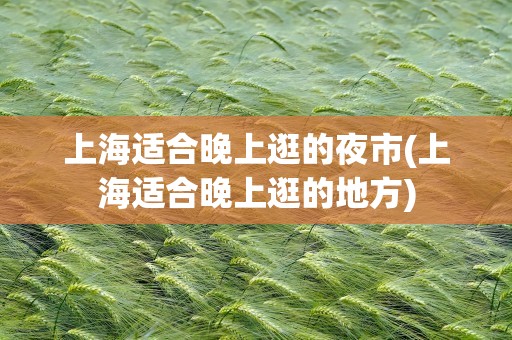 上海适合晚上逛的夜市(上海适合晚上逛的地方)