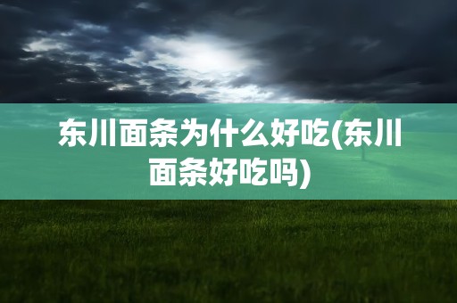 东川面条为什么好吃(东川面条好吃吗)