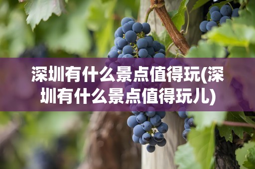 深圳有什么景点值得玩(深圳有什么景点值得玩儿)