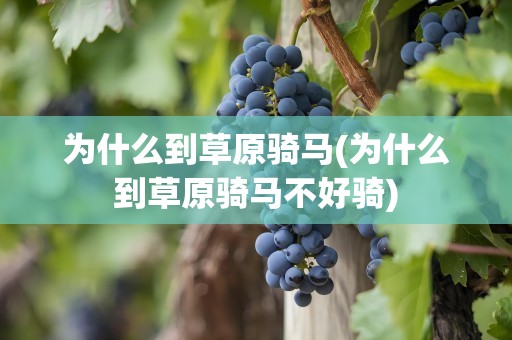 为什么到草原骑马(为什么到草原骑马不好骑)