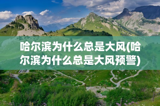 哈尔滨为什么总是大风(哈尔滨为什么总是大风预警)