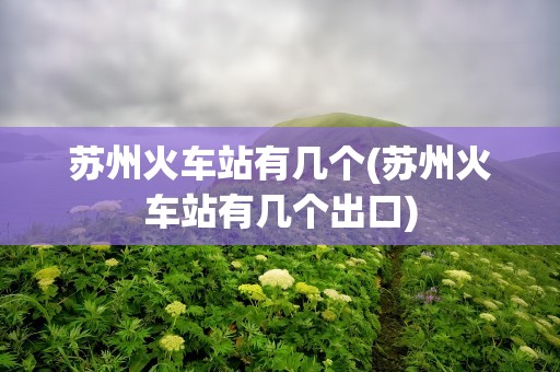 苏州火车站有几个(苏州火车站有几个出口)