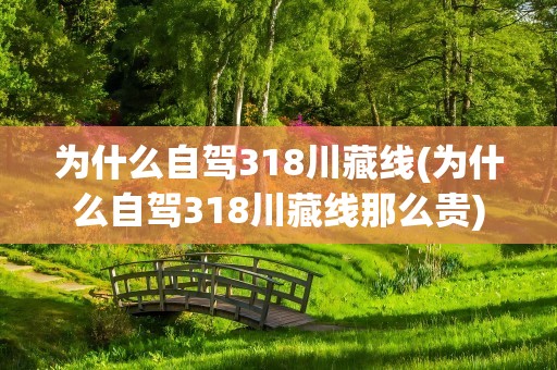 为什么自驾318川藏线(为什么自驾318川藏线那么贵)