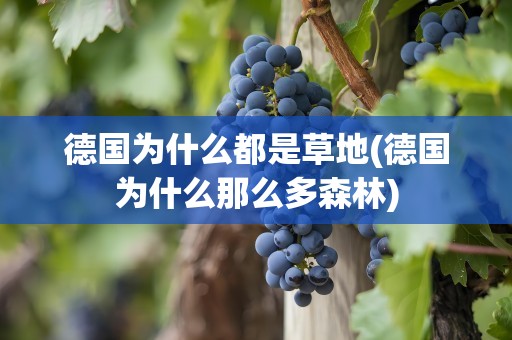 德国为什么都是草地(德国为什么那么多森林)