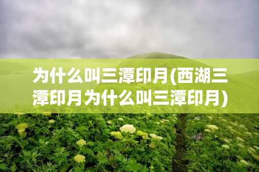为什么叫三潭印月(西湖三潭印月为什么叫三潭印月)