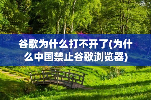 谷歌为什么打不开了(为什么中国禁止谷歌浏览器)
