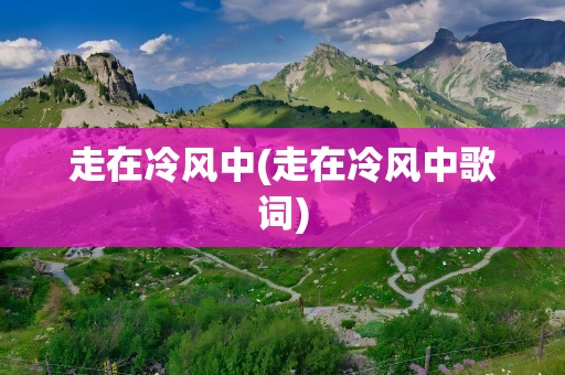 走在冷风中(走在冷风中歌词)
