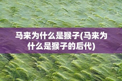 马来为什么是猴子(马来为什么是猴子的后代)
