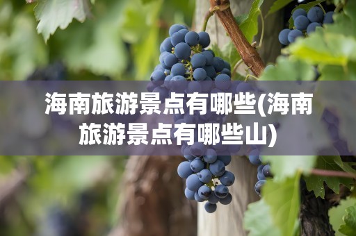 海南旅游景点有哪些(海南旅游景点有哪些山)