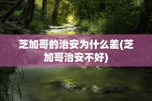 芝加哥的治安为什么差(芝加哥治安不好)