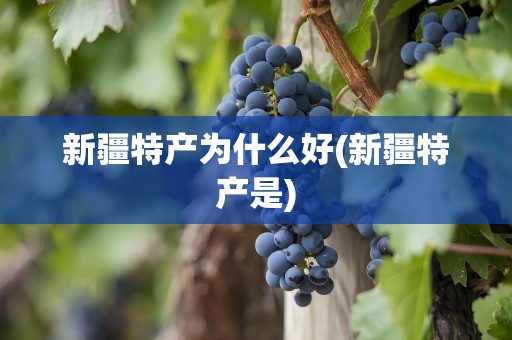 新疆特产为什么好(新疆特产是)
