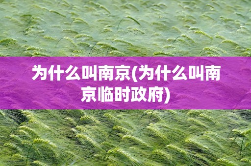 为什么叫南京(为什么叫南京临时政府)