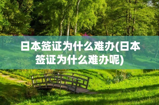 日本签证为什么难办(日本签证为什么难办呢)