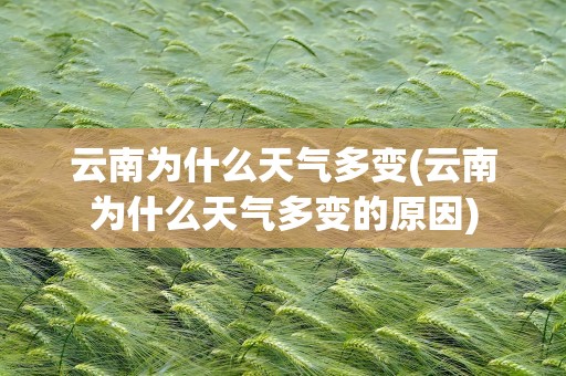 云南为什么天气多变(云南为什么天气多变的原因)