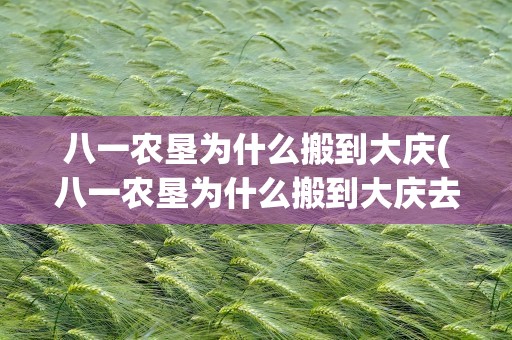 八一农垦为什么搬到大庆(八一农垦为什么搬到大庆去了)