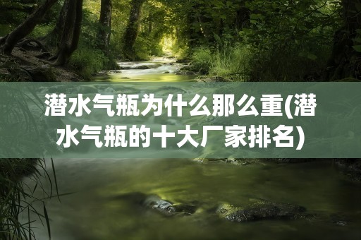 潜水气瓶为什么那么重(潜水气瓶的十大厂家排名)