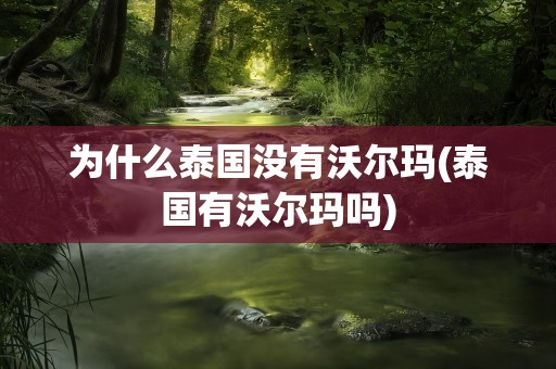 为什么泰国没有沃尔玛(泰国有沃尔玛吗)