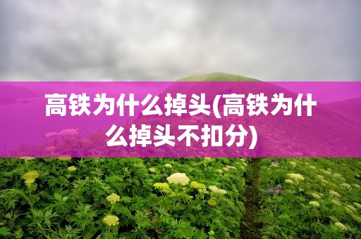 高铁为什么掉头(高铁为什么掉头不扣分)