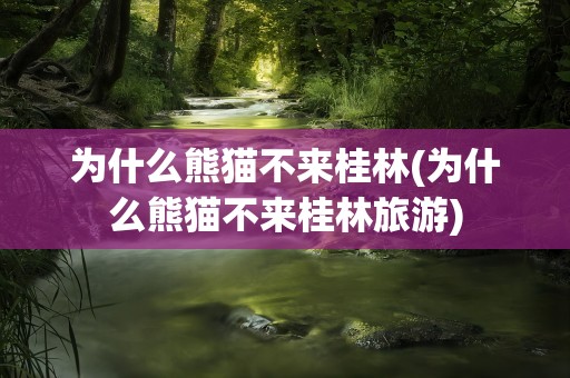 为什么熊猫不来桂林(为什么熊猫不来桂林旅游)