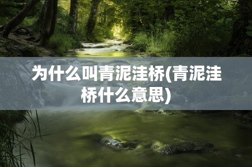 为什么叫青泥洼桥(青泥洼桥什么意思)