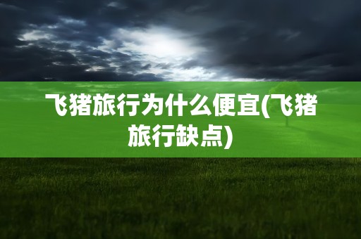 飞猪旅行为什么便宜(飞猪旅行缺点)
