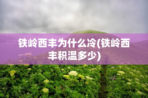 铁岭西丰为什么冷(铁岭西丰积温多少)