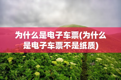 为什么是电子车票(为什么是电子车票不是纸质)