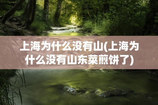 上海为什么没有山(上海为什么没有山东菜煎饼了)