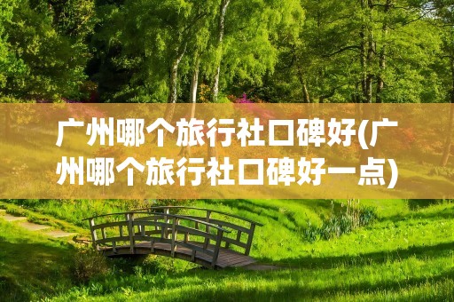 广州哪个旅行社口碑好(广州哪个旅行社口碑好一点)