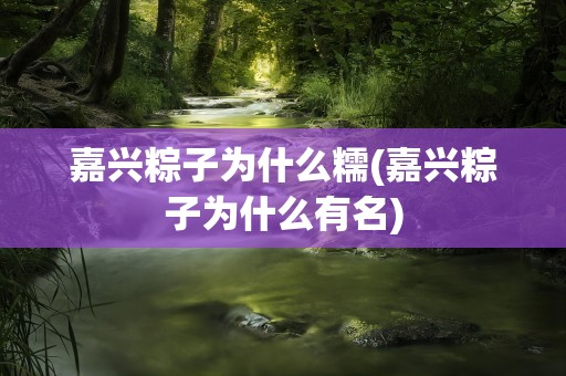 嘉兴粽子为什么糯(嘉兴粽子为什么有名)
