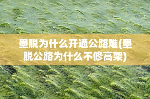 墨脱为什么开通公路难(墨脱公路为什么不修高架)