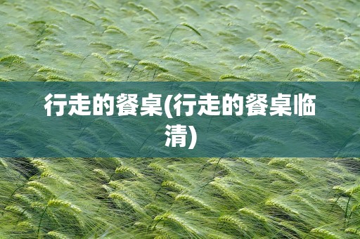行走的餐桌(行走的餐桌临清)