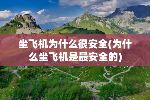 坐飞机为什么很安全(为什么坐飞机是最安全的)