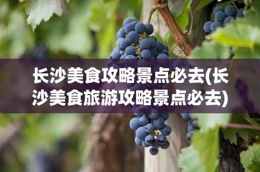 长沙美食攻略景点必去(长沙美食旅游攻略景点必去)