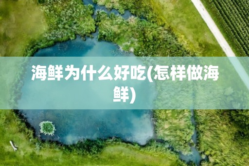 海鲜为什么好吃(怎样做海鲜)