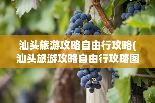 汕头旅游攻略自由行攻略(汕头旅游攻略自由行攻略图)