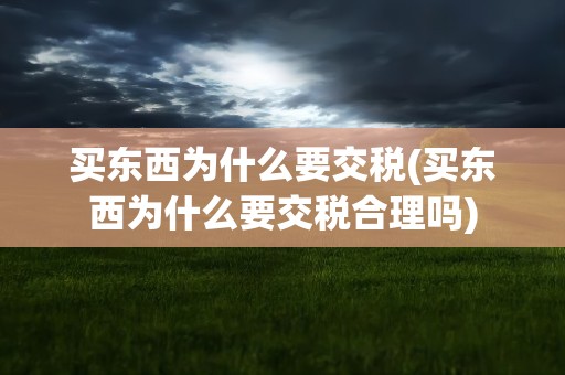 买东西为什么要交税(买东西为什么要交税合理吗)