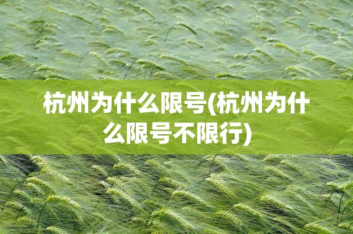 杭州为什么限号(杭州为什么限号不限行)
