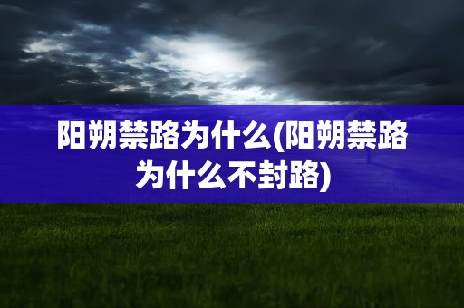 阳朔禁路为什么(阳朔禁路为什么不封路)