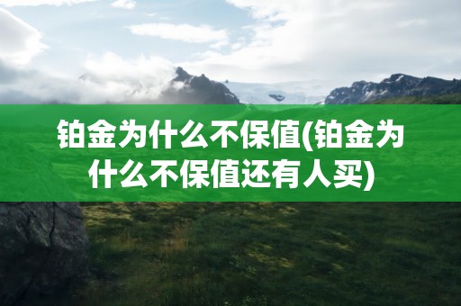 铂金为什么不保值(铂金为什么不保值还有人买)