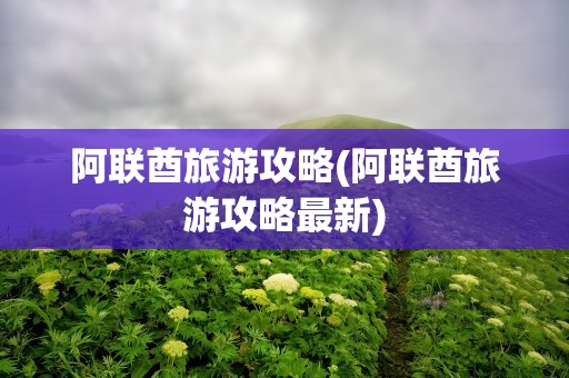 阿联酋旅游攻略(阿联酋旅游攻略最新)