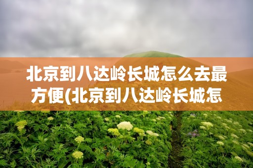 北京到八达岭长城怎么去最方便(北京到八达岭长城怎么去最方便的路线)