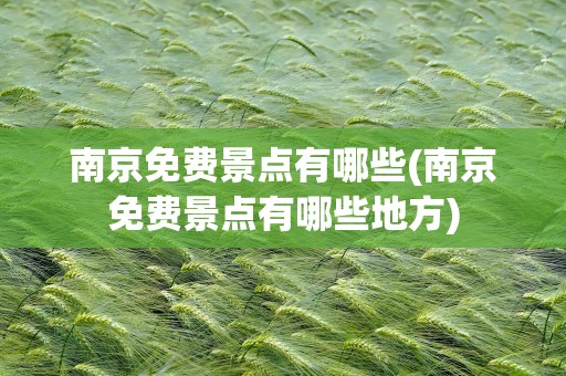 南京免费景点有哪些(南京免费景点有哪些地方)
