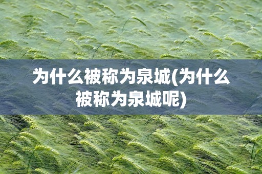 为什么被称为泉城(为什么被称为泉城呢)
